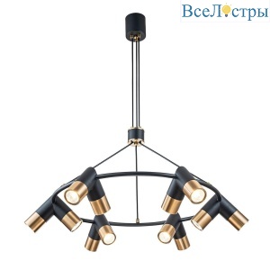 Подвесная люстра Indigo Doppio 11036/12P Black V000455