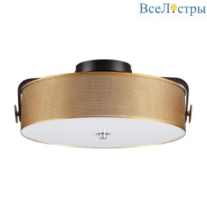 Потолочный светильник Lumion Drumy 6597/40L
