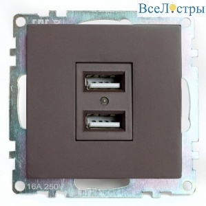 Розетка двухместная USB Stekker Катрин шоколад GLS10-7115-04 49027