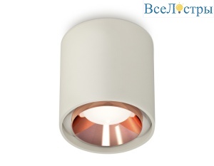 Потолочный светильник Ambrella Light Techno Spot XS7724005 (C7724, N7035)