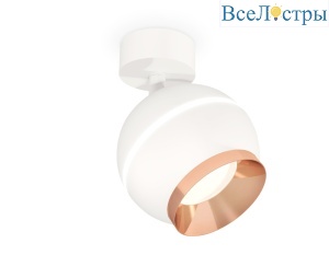 Спот Ambrella Light Techno Spot XM1101005 (A2202, C1101, N7035)
