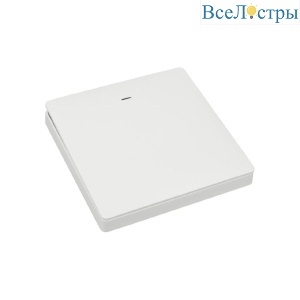 Выключатель одноклавишный Aployt Magnetic track 220 APL.0190.00.01