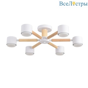 Потолочный светильник Lumion Comfi Vudi 8306/6C