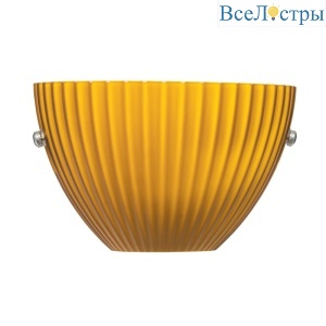 Настенный светильник Lightstar Agola 810813