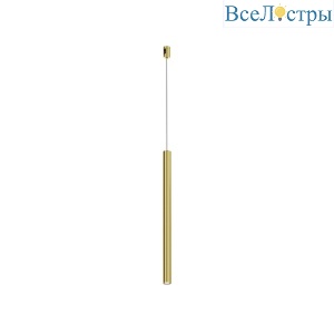 Трековый магнитный светильник Maytoni Focus LED TR156-1-5W4K-BS