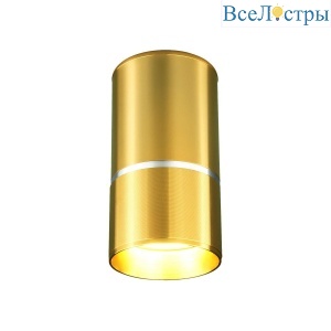 Потолочный светильник Elektrostandard DLN106 GU10 золото 4690389148613