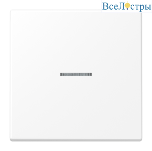 Клавиша 1-ная с линзой Jung LS990 LS990KO5WWM