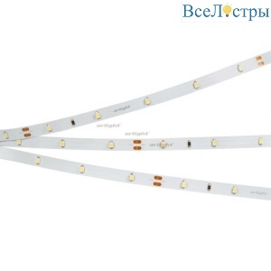 Светодиодная лента Arlight RT 2-5000 24V Cool 8K 0.5x (3528, 150 LED, LUX) 019916