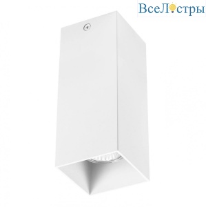 Накладной светильник Lightstar Rullo 216386