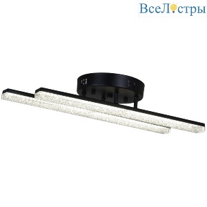 Потолочный светильник Reluce 03749-3.3-02C BK