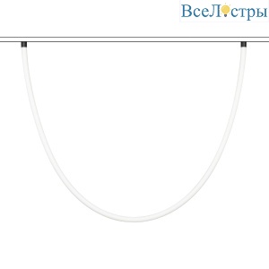 Трековый магнитный светильник Arlight MAG-ORIENT-TUBE-ELASTIC-R25-L2500-35W Day4000 (BK, 360 deg, 48V, DALI) 044331