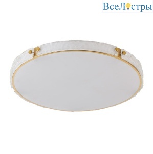 Потолочный светильник De Markt Ривз 674017601