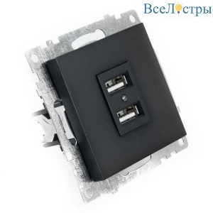Розетка 2хUSB Stekker Катрин графит GLS10-7115-06 49422