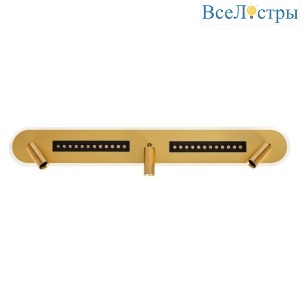Светодиодный спот Arte Lamp Pisces A2220PL-3GO