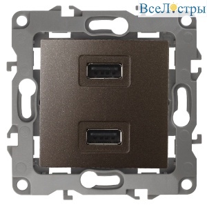 Розетка USB Эра 12-4110-13 Б0027498