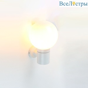 Уличный настенный светильник General Сфера GWL-Е27-M-IP65 662629
