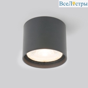Уличный светодиодный светильник Elektrostandard Light Led 35132/H серый 4690389177019