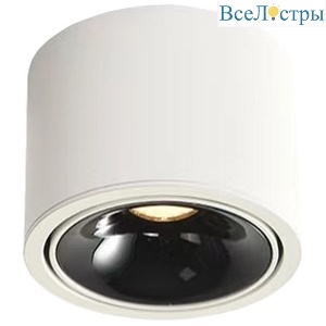 Накладной светильник Wertmark Altair WTA.O06.067.40.12