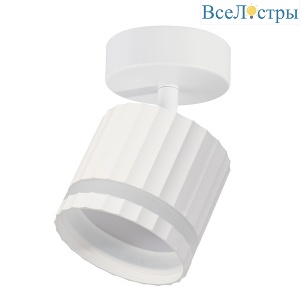 Спот Feron Olympus HL3691 48683