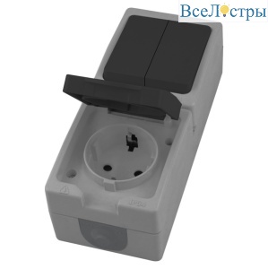 Розетка одноместная с/з + выключатель двухклавишный Stekker Велена PST16-11-54V/10-121-54 49726