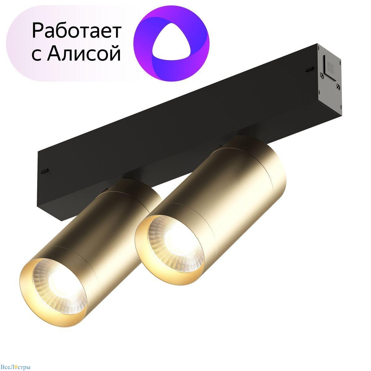 трековый светодиодный светильник denkirs smart spot dk8012-bg