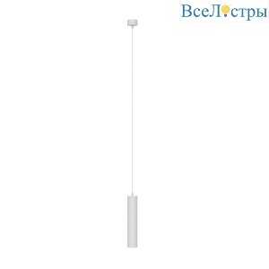 Подвесной светильник Maytoni Technical Focus P075PL-01W