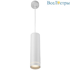 Уличный подвесной светильник Elektrostandard DLR023 4690389189159 a061363