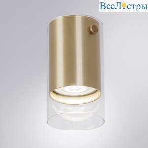 Накладной светильник Arte Lamp Lazio A5365PL-1SG