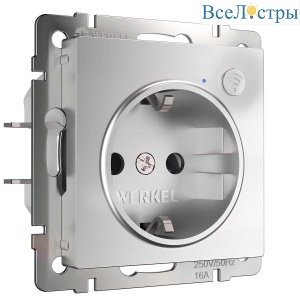 Розетка Wi-Fi  Werkel серебряный W1171606 4690389176074