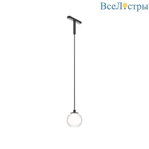 Трековый подвесной светильник Maytoni Technical TR181PL-1-4WTW-B