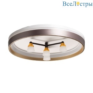 Потолочный светильник De Markt Норден 660014701