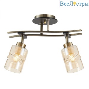 Спот Citilux Мерида CL142124