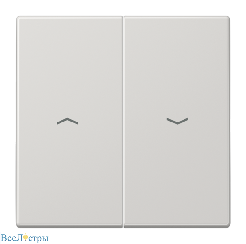 клавиша для жалюзийного выключателя jung ls 990 ls995plg