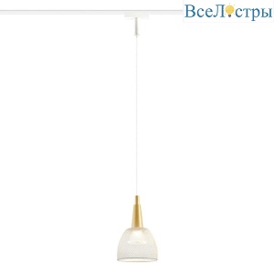 Трековый светодиодный светильник Ambrella light Track System Magnetic Ultra Slim GV1652