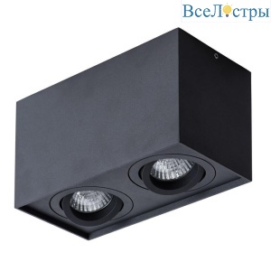 Накладной светильник Arte Lamp Factor A5544PL-2BK
