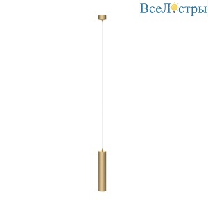 Подвесной светильник Maytoni Technical Focus P075PL-01MG