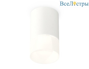 Потолочный светильник Ambrella Light Techno Spot XS7421025 (C7421, N7170)