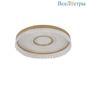 Потолочный светодиодный светильник F-Promo Lunetta 4186-2C