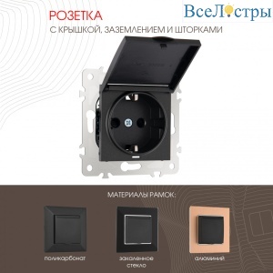 Розетка с заземлением, шторками и защитной крышкой Arte Milano 203.41-1.black