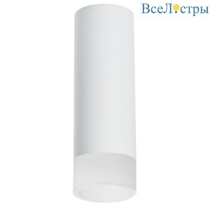 Накладной светильник Lightstar Rullo R48631 (214486+202431)