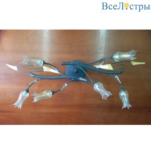 Потолочный светильник 6683/P6__V2244