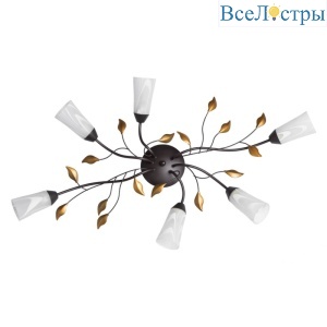 Потолочная люстра MW-Light Восторг 242015206