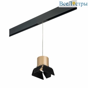 Трековый светильник Lightstar Rullo (213490+595887+202487) PRORP3490487