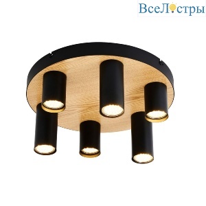 Потолочный светильник F-Promo Olson 4431-6U