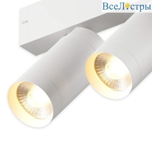 Трековый однофазный светильник AM Group Plain Opal AM590 2X10W 4000K WH