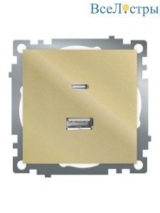 Розетка 2-местная USB + type C Stekker Катрин GLS10-7116-08 50053