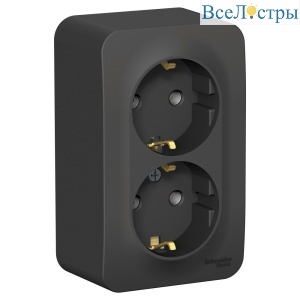 Розетка 2-ая с/з без шторок 16А, 250В, изолир. Пластина Systeme Electric Blanca наруж Антрацит BLNRA010216