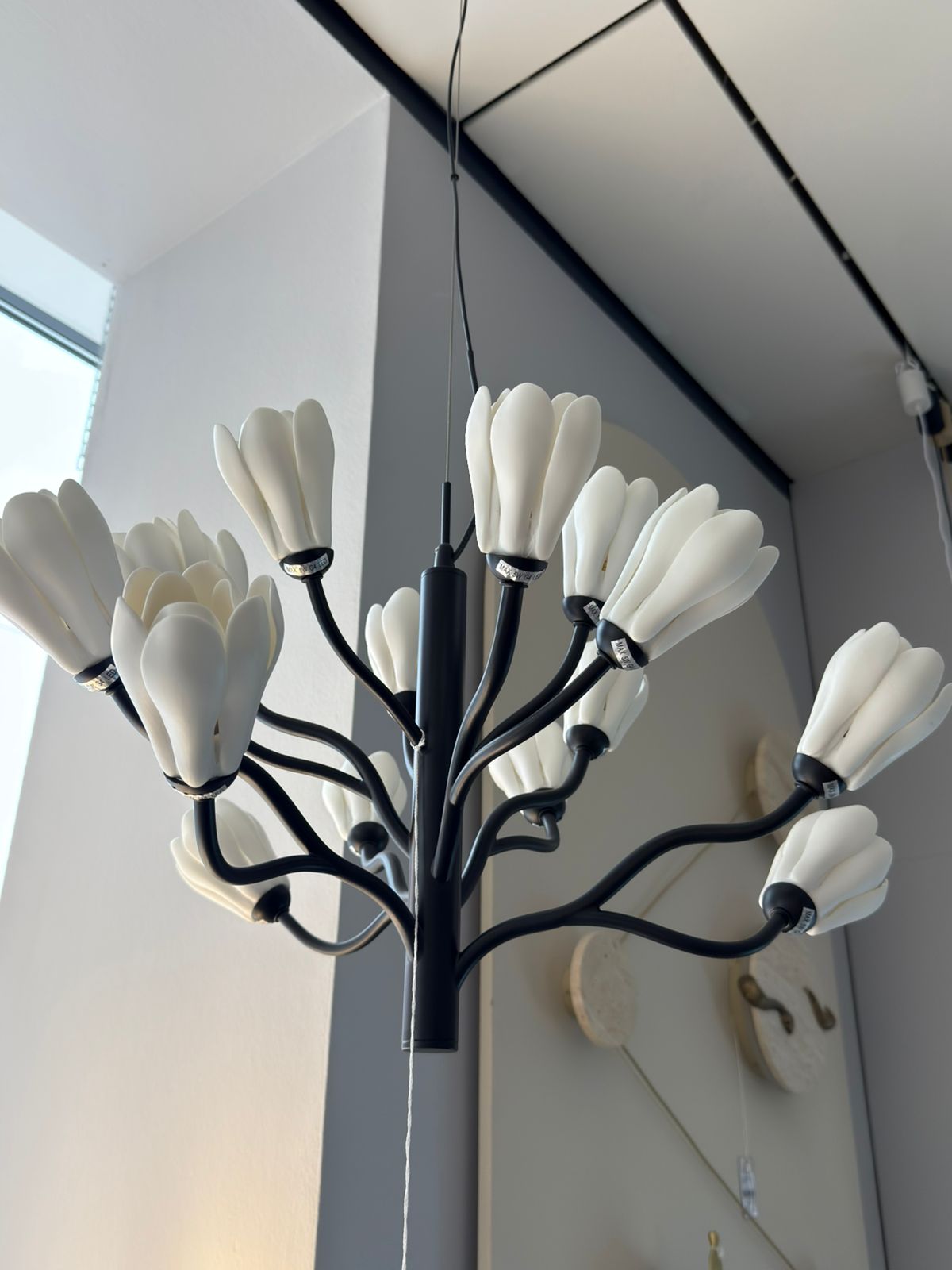 подвесная люстра odeon light gardi modern 5090/15