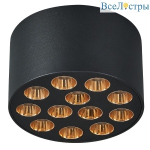 Потолочный светильник Lightstar Guarda 080942