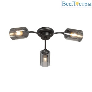 Потолочная люстра Vitaluce V2558-1/3PL